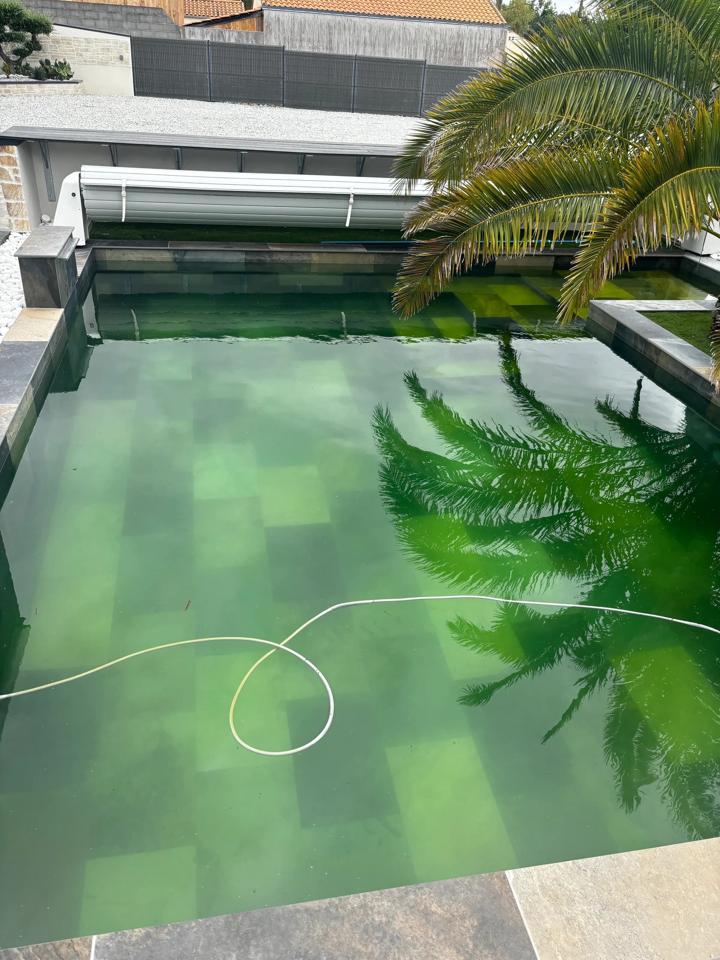 Piscine carrelée avec problème de traitement et de filtration.