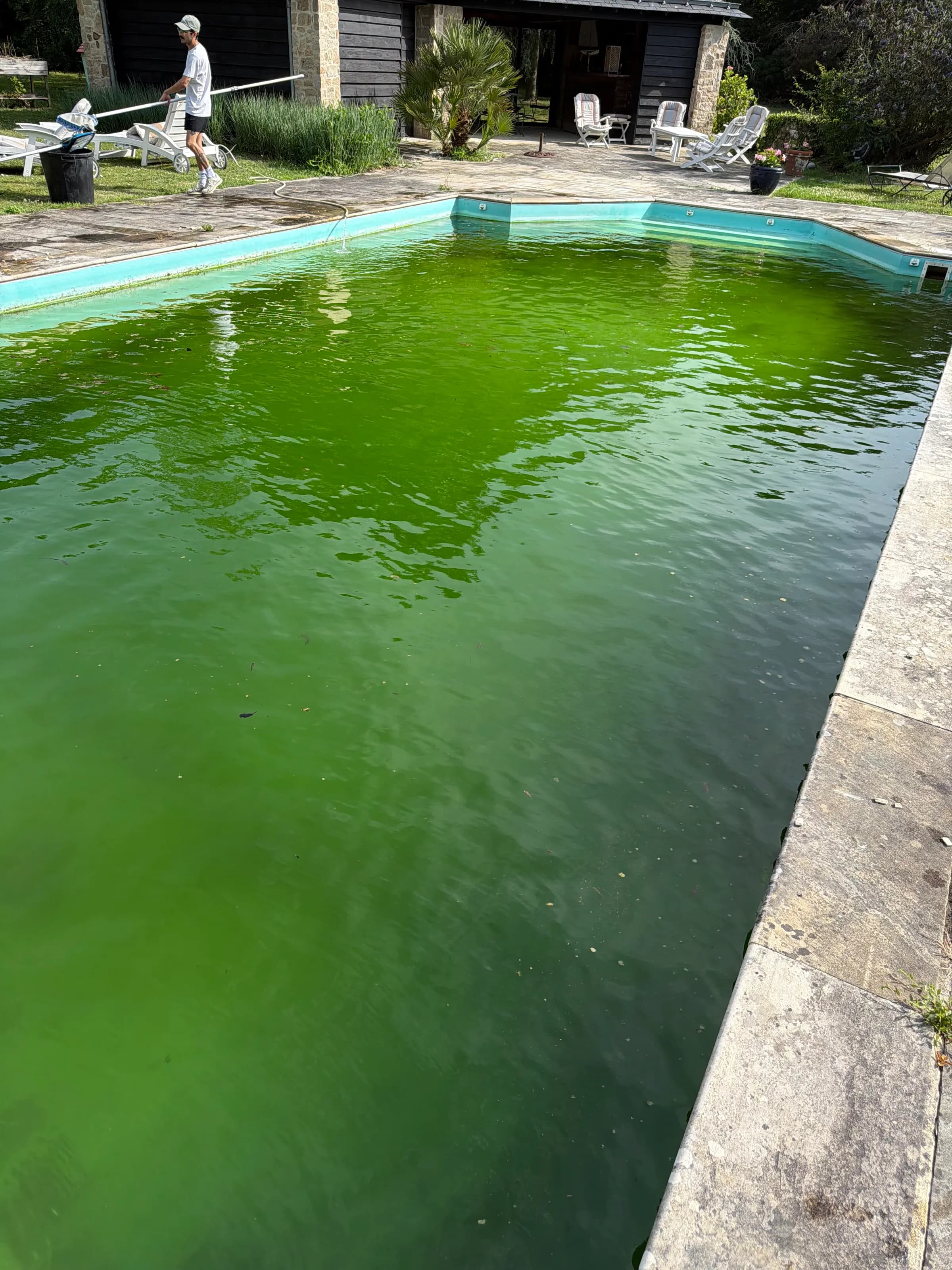 Avant intervention : grande piscine rectangulaire à l'eau vert opaque, plage en pierre.