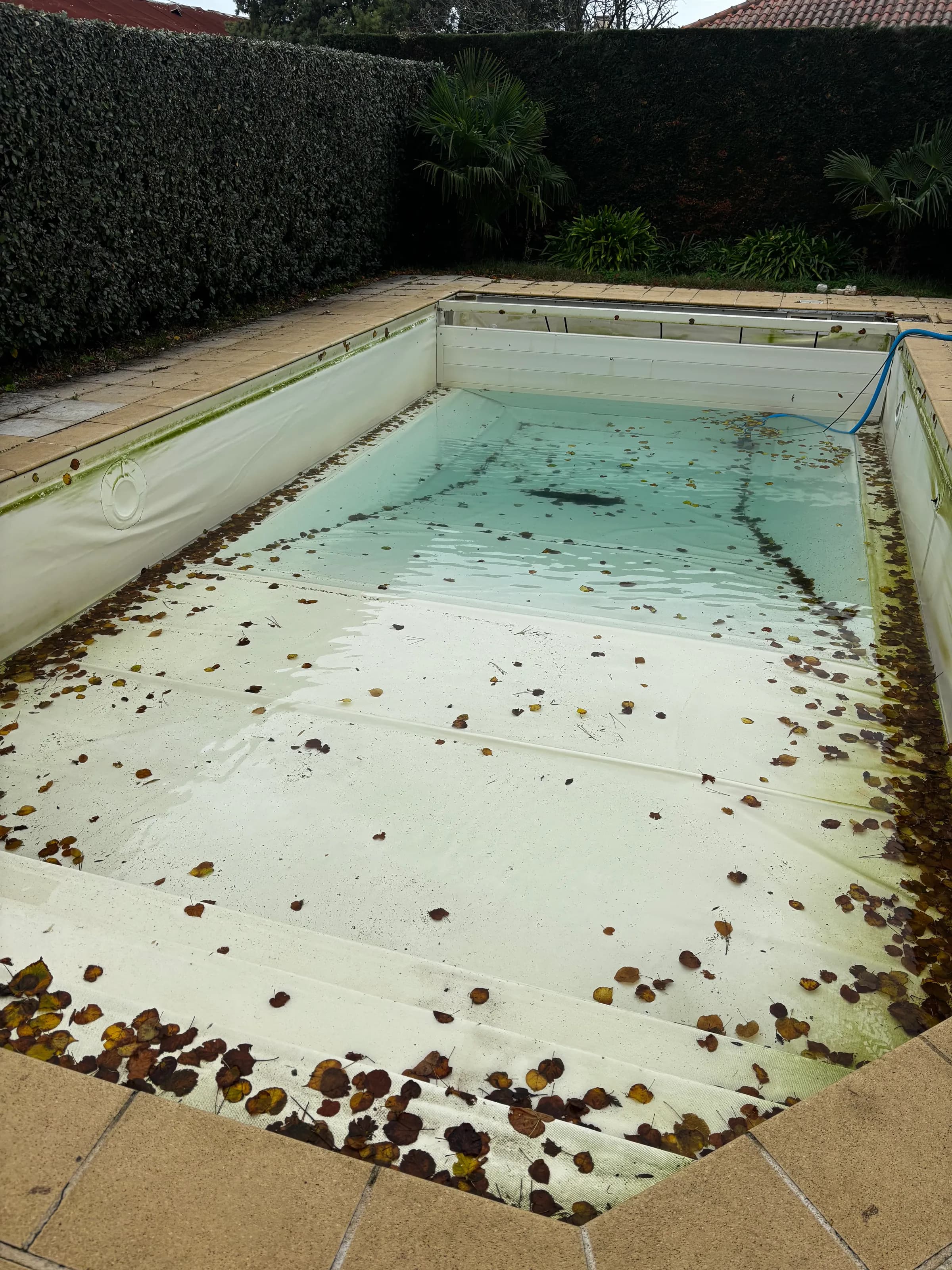 Avant rénovation : piscine 12x5 m au pvc armé hors service, décollé et couvert de feuilles.